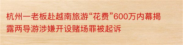 杭州一老板赴越南旅游“花费”600万内幕揭露两导游涉嫌开设赌场罪被起诉